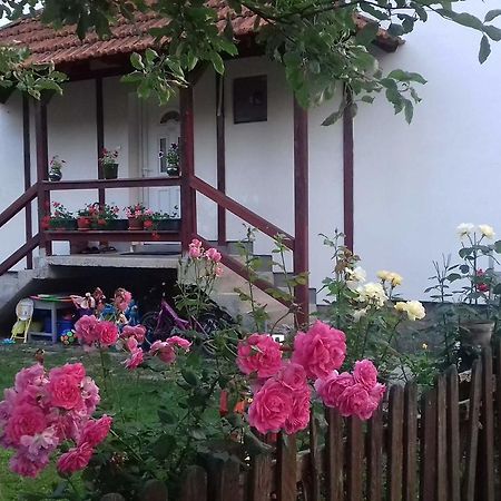Apartment Dil Kulen Vakuf Εξωτερικό φωτογραφία
