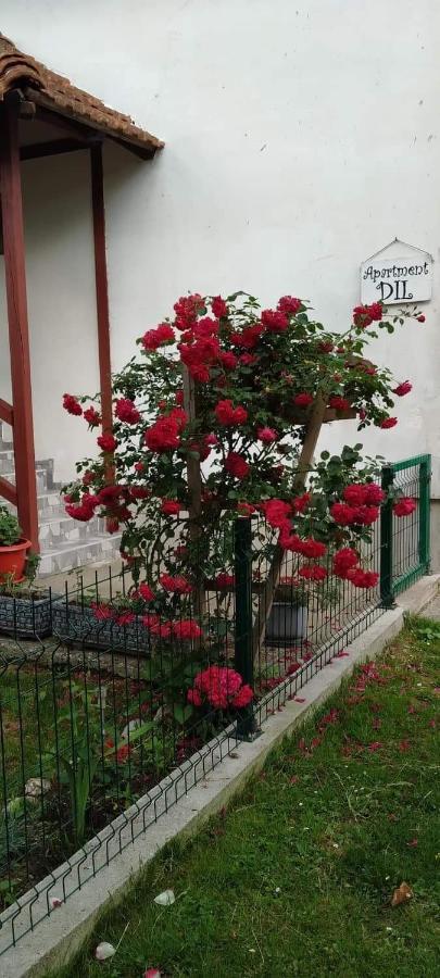Apartment Dil Kulen Vakuf Εξωτερικό φωτογραφία